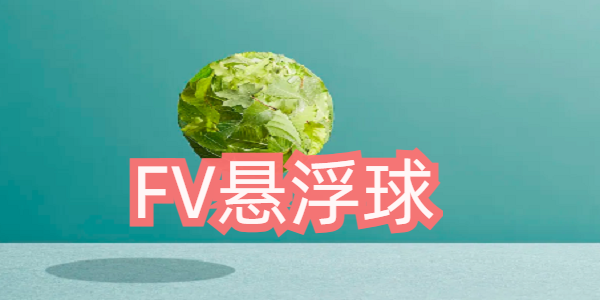 FV悬浮球