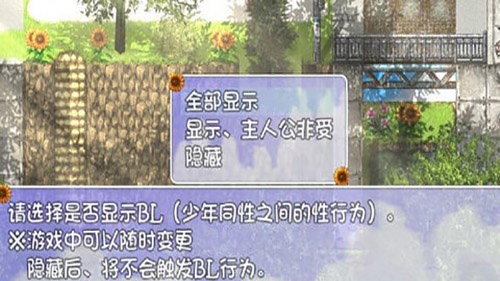 我的暑假秘密回忆繁星新春版