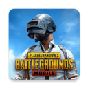 pubg国际服手游