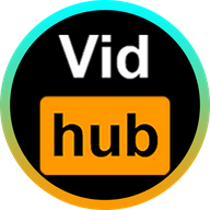 vidhub软件